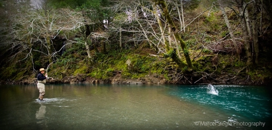 Into the blue Into the blue