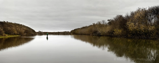 Tranquility Tranquility