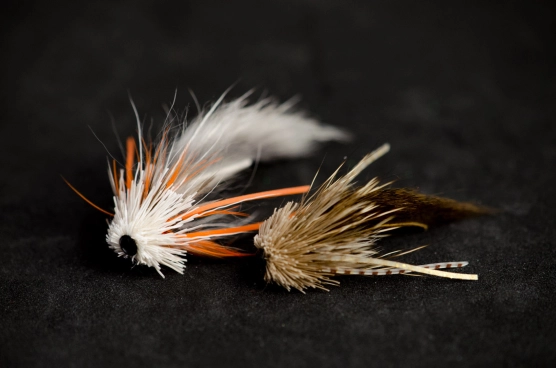 Sea Trout Munkers Sea Trout Munkers