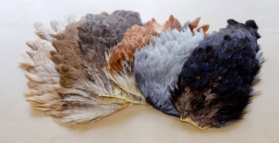 Natural hen hackle Natural hen hackle