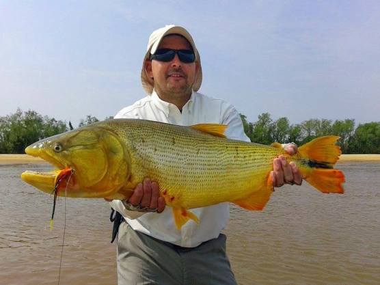 From the sand bank From the sand bank