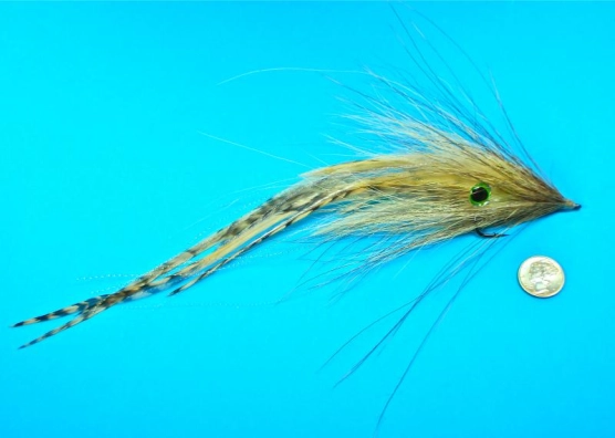 Cephalopod-a-Saurus Cephalopod-a-Saurus