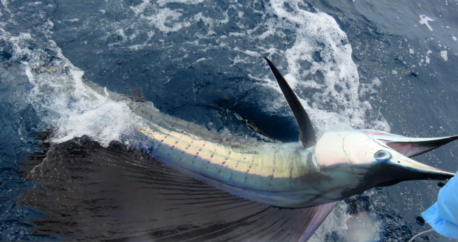 At the boatside At the boatside