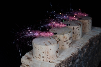 Pink Shrimp II Pink Shrimp II