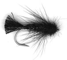 Black fly 3