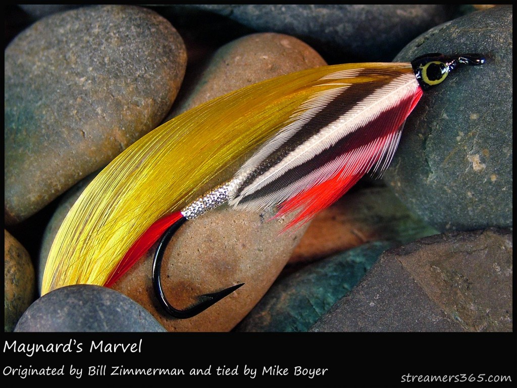 #48 Maynard's Marvel - Mike Boyer #48 Maynard's Marvel - Mike Boyer