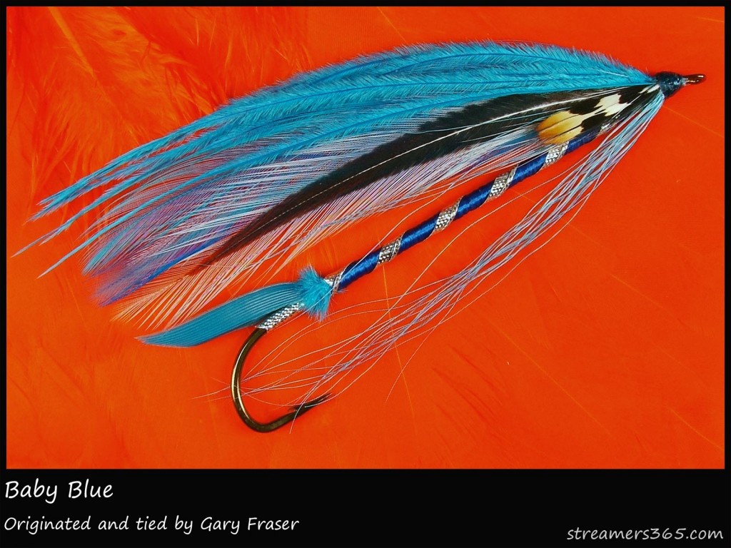 #206 Baby Blue - Gary Fraser