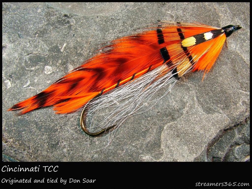 #264 Cincinnati - Team Colors Collection - Don Soar #264 Cincinnati - Team Colors Collection - Don Soar