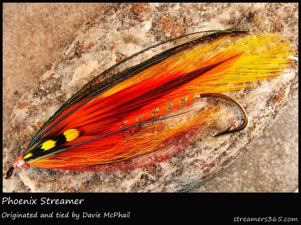 #269 Phoenix Streamer - Davie McPhail