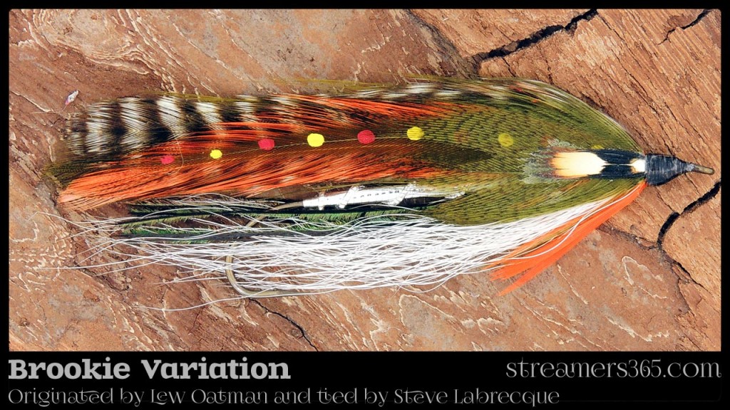 Brookie ( Brook Trout variation) - Steve Labrecque