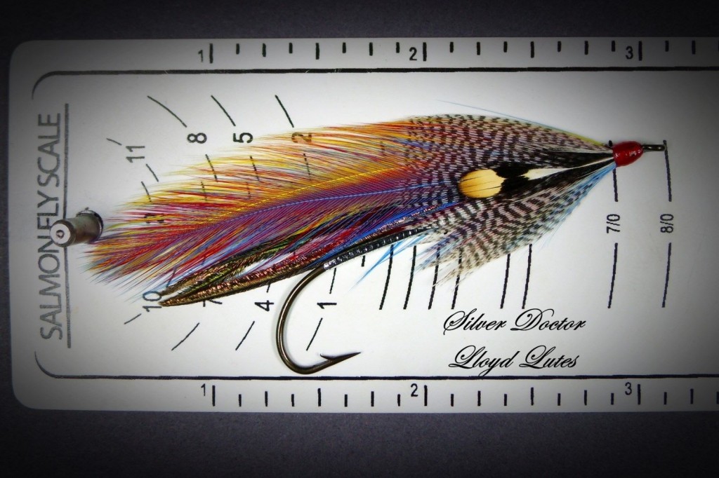 Lloyd Lutes Silver Doctor