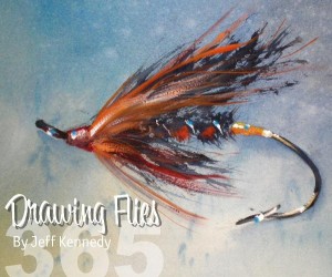 Drawing Flies 365 - Jeff Kennedy