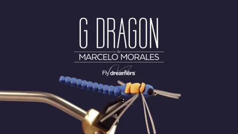 Video thumb for G Dragon