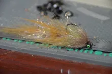 Video thumb for Bush Meat Streamer