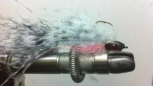 Video thumb for The Knucklehead Streamer