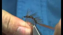 Video thumb for The Daddy Snatcher.