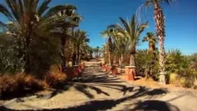 Video thumb for Fly Fishing Baja Mexico 2011