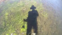 Video thumb for East Walker River