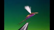 Video thumb for Purple Haze
