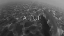 Video thumb for Fly fishing and conservation of Patagonia/Teaser 4/4