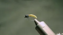 Video thumb for THN (Tungsten Hydropsyche Nymph)