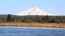 Video thumb for Fall River Fish Tagging