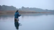 Video thumb for Early morning in the fjord