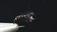 Video thumb for Crippled Midge