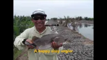 Video thumb for The Adventures of The Mudskippers