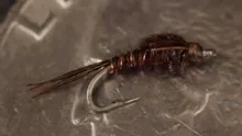 Video thumb for Micro Pheasant Tail Nymph