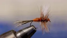 Video thumb for Ausable Wulff