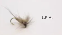 Video thumb for LPA