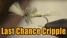 Video thumb for Last Chance Cripple