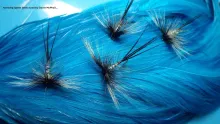 Video thumb for Hairwing Spent Gnat Irish Mayfly