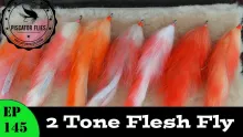 Video thumb for Two-Tone Flesh Fly
