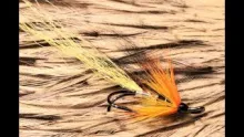 Video thumb for Cascade
