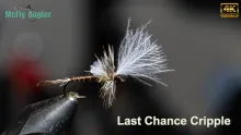 Video thumb for Last Chance Cripple