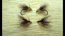 Video thumb for Lacewing Moth