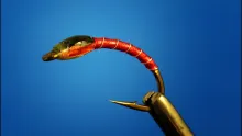 Video thumb for Holo-Buzzer (Chironomid)