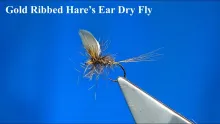 Video thumb for Gold Ribbed Hare's Ear Dry Fly