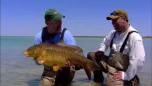 Video thumb for Amazing Fly Fishing Carp Action! 