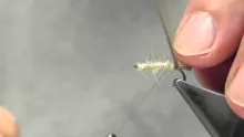 Video thumb for Lake O Shrimp