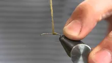 Video thumb for Olive F Fly