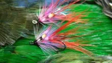 Video thumb for The Quinn Shrimp (Variant)