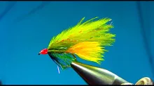 Video thumb for Dawson's Olive