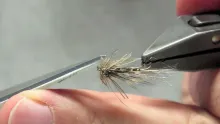 Video thumb for Muddled Spratley