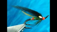 Video thumb for The Overtaker (Salmon Fly)