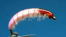 Video thumb for McPhail Pink Bug