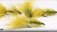 Video thumb for Simi Seal Leech