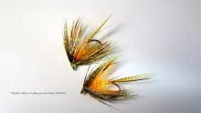 Video thumb for Melvin Gosling Variant